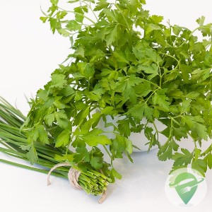 Tempero Verde