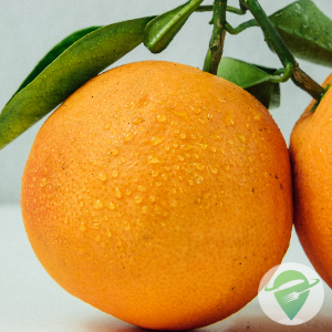 Laranja Céu