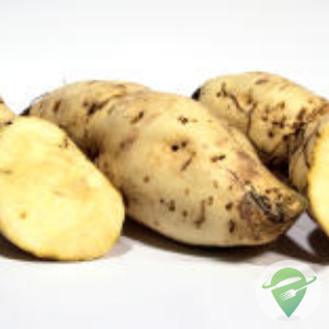 Batata-doce Brs Gaita