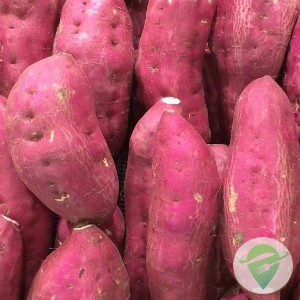 Batata Doce Casca Roxa
